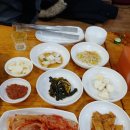 벌떼생고기