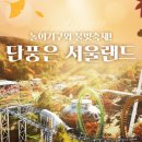 서울경희대태권도체육관 이미지