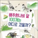 햄스터S