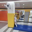 삼우 태권도 이미지