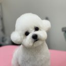 백마야장소곱창 네이버블로그
