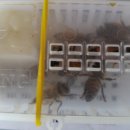 부춘농장 이미지