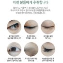 바이플리.B