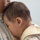 안면기공소 | 지오헬멧에서 사두증, 단두증 헬멧 제작 후기 ep.1