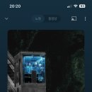 멋쟁이토마토