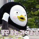 서울드림이비인후과의원 이미지