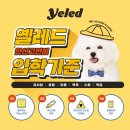 고잔유치원 이미지