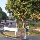 신나는실내마차 | 곳 어린이나라 동물원, 머큐어호텔오키나와나하 후기, 에이분 소바 주차 팁, 국제거리 스누피서퍼, 포장...