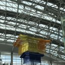 내추럴짐 | 2025 몬스터짐 X 아이언스테인 내추럴 프로쇼 직관 후기