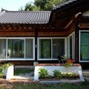 봄볕내리는날 이미지