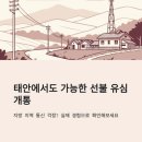 지에스25태안백화로점 | 태안 선불 유심 구매 후 개통 후기 공유