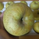 인지2길 이미지