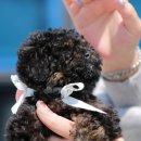 여주-0111 이미지