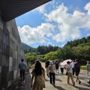 제주 선흘리 거문오름 | 제주 거문오름 탐방 후기: 진짜 힘들었지만, 그래서 더 좋았던!