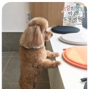 경희궁바른동물병원 이미지