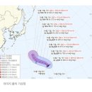 14주차 괌 태교여행 후기 / 13-15주차 임산부 일상-*