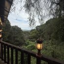 동문식당 이미지