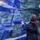 아쿠아빌딩 이미지