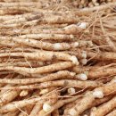 종삼농장 이미지