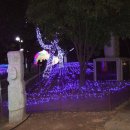 거북공원 이미지