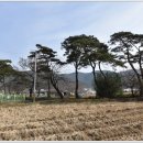 임촌숯가마찜질방 이미지