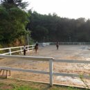 천마목장 이미지