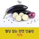 혈당 잡는 천연인슐린 가지 이미지