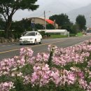 간전면사무소 이미지