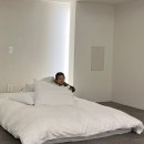모과호텔(mogua hotel) | 부산 가성비 감성 숙소 서면호텔 서면 실내 데이트 추천