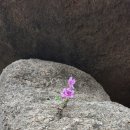 가현산낚시터 이미지