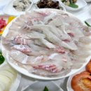 남해활어회 이미지