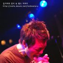 슈가홀리데이