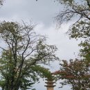 제석농장 이미지