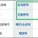 신정꽃마을