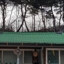 신성발전기 - 안성시 청원로 1892-28 | 신성발전기