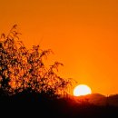 화명 오토캠핑장 이미지