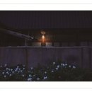 코모도호텔 포항 송도 이미지