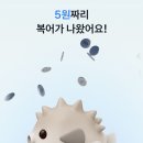 물고기뱅크 | [토스이벤트] 토스뱅크 물고기잡기 이벤트 참여 후기와 꿀팁 공개