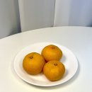 유현농장 | 고당도 제주 노지 감귤 5kg 유현이네감귤농장 택배 후기