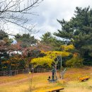 제주 올레길 17코스 이미지