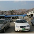 삼화목장 이미지
