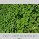 김해시 산업ㅡ5대 전략산업 이미지