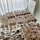 인동13길-5 이미지