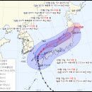 실시간 일본 본토 상륙하는 중인 태풍 14호 상황 이미지