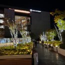 생초할인마트 | 동경일기 #06 | 진짜 그냥 쉬었음 청년