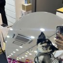 1,2안경원 | 으뜸플러스안경 | 3,000원~ 갓성비 야당역 주변 2층 안경원 솔직후기🥸