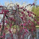 광양이야기 이미지