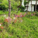 조안농장 이미지