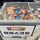 백동물병원 - 부여군 성왕로 182 | 백동물병원