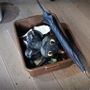 감동손세차장 이미지